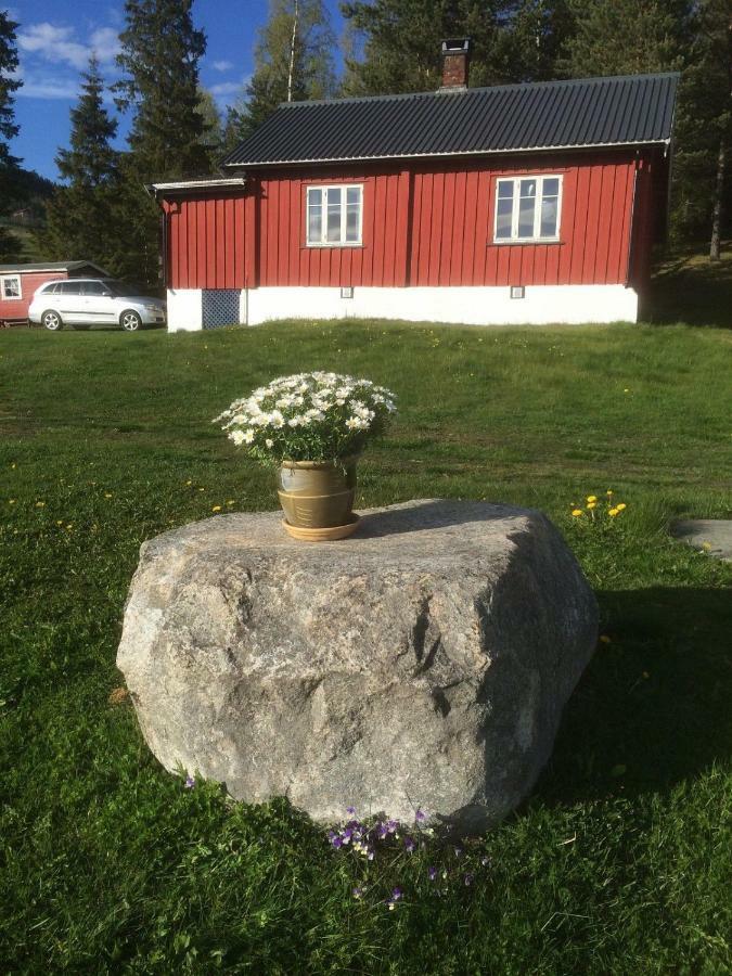 Asgardane Gjestegard غول المظهر الخارجي الصورة